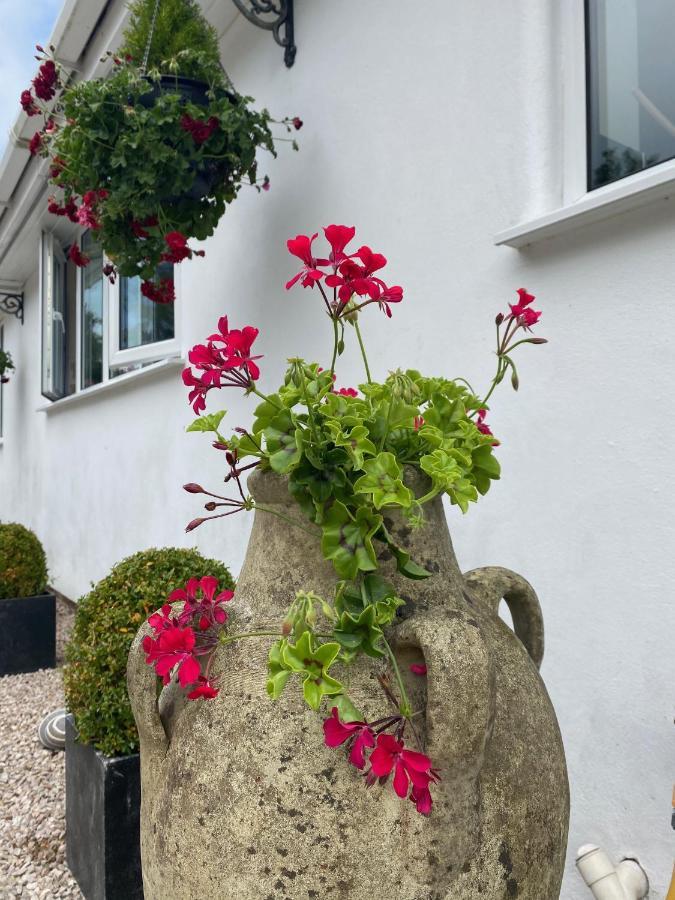 Toppesfield House B&B Bude Zewnętrze zdjęcie