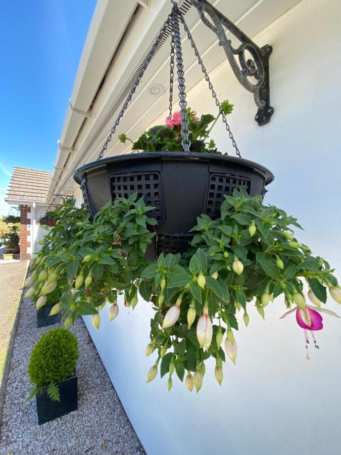 Toppesfield House B&B Bude Zewnętrze zdjęcie