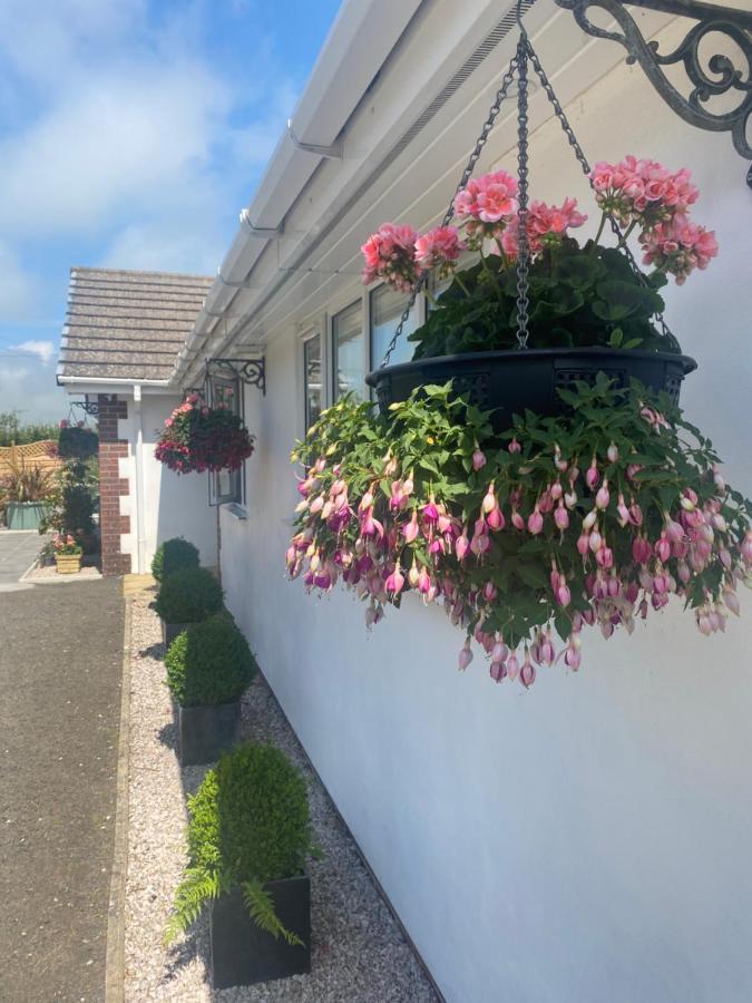 Toppesfield House B&B Bude Zewnętrze zdjęcie