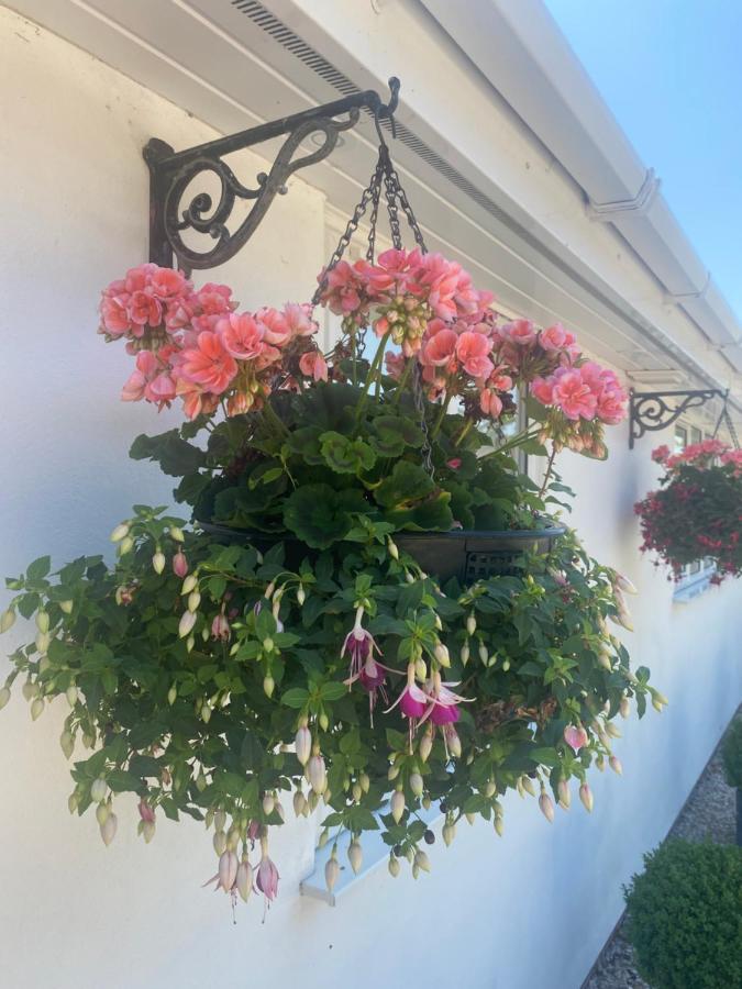 Toppesfield House B&B Bude Zewnętrze zdjęcie