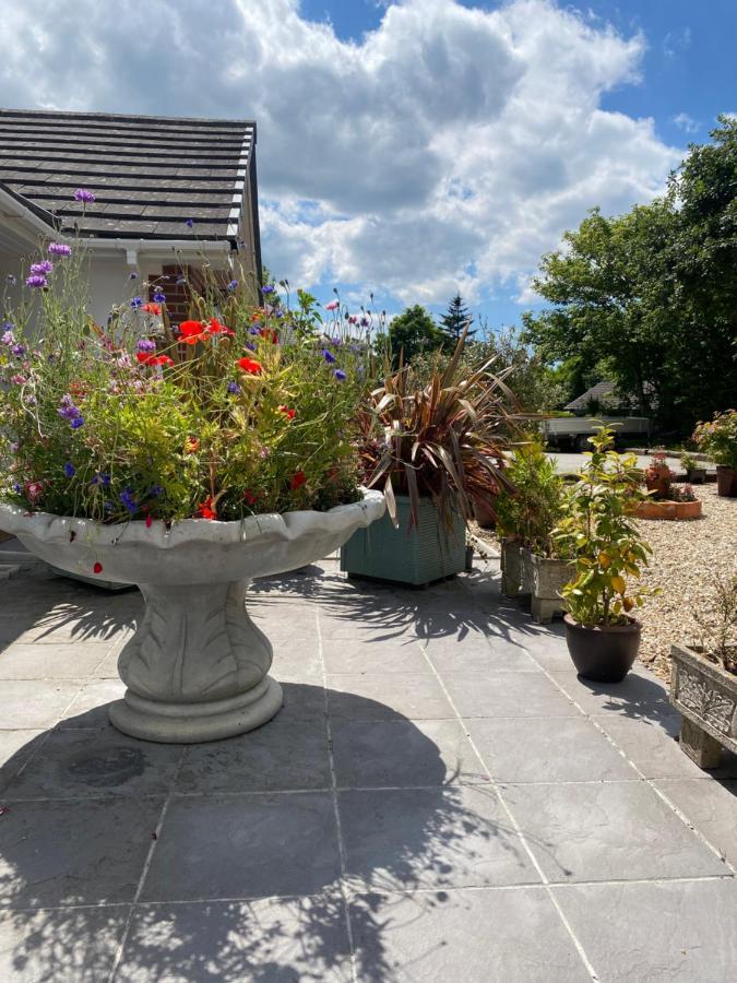 Toppesfield House B&B Bude Zewnętrze zdjęcie